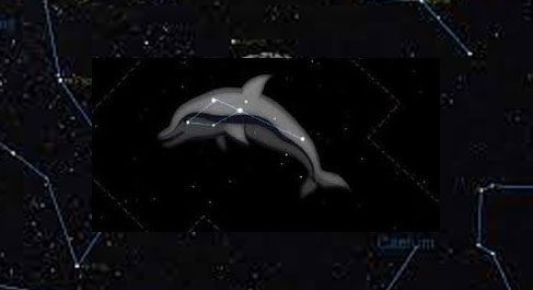 Constelación del Delfín