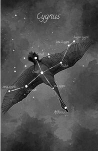 la constelacion del Cisne